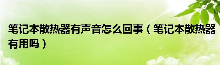 笔记本散热器有声音怎么回事（笔记本散热器有用吗）