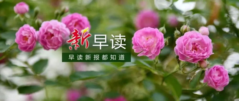 新早读｜哄抬物价！每家罚25万元！