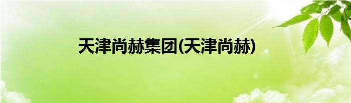 天津尚赫集团(天津尚赫)