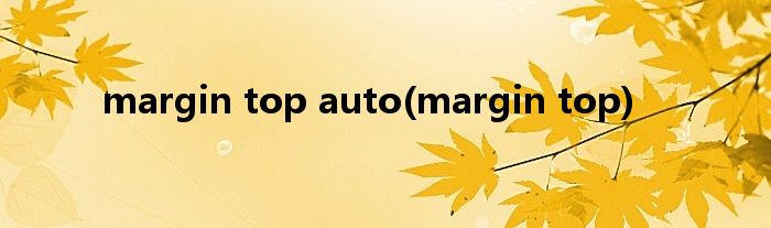 margin top auto(margin top)