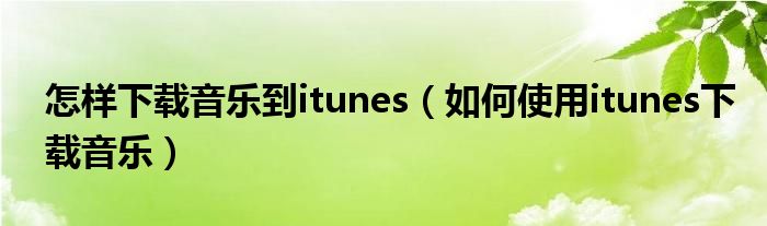 怎样下载音乐到itunes（如何使用itunes下载音乐）