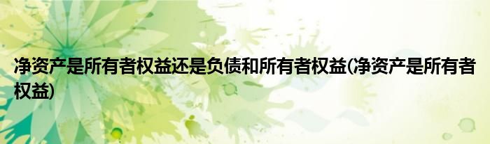 净资产是所有者权益还是负债和所有者权益(净资产是所有者权益)