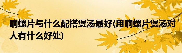 响螺片与什么配搭煲汤更好(用响螺片煲汤对人有什么好处)