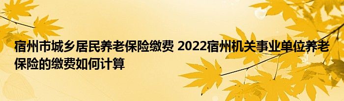 宿州市城乡居民养老保险缴费 2022宿州机关事业单位养老保险的缴费如何计算