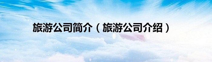 旅游公司简介（旅游公司介绍）