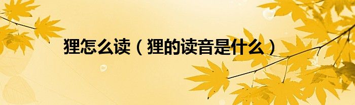 狸怎么读（狸的读音是什么）