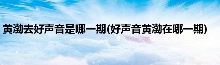 黄渤去好声音是哪一期(好声音黄渤在哪一期)
