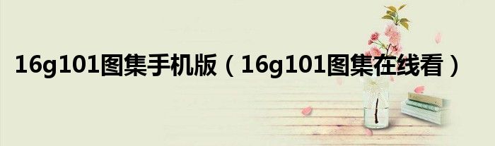 16g101图集手机版（16g101图集在线看）