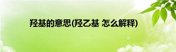 羟基的意思(羟乙基 怎么解释)