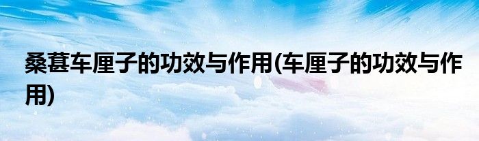 桑葚车厘子的功效与作用(车厘子的功效与作用)