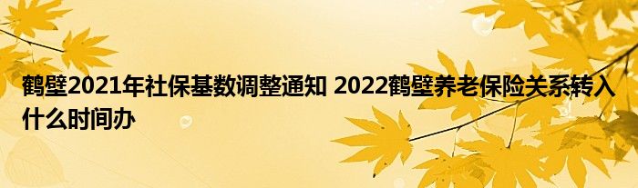 鹤壁2021年社保基数调整通知 2022鹤壁养老保险关系转入什么时间办