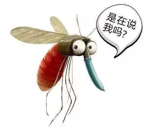 怪不得觉得今年蚊子少了！原来老天爷还有这个功能