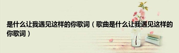 是什么让我遇见这样的你歌词（歌曲是什么让我遇见这样的你歌词）