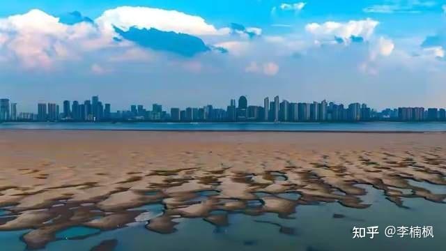 江西有多热？鄱阳湖“枯了”，森林快受不了了......