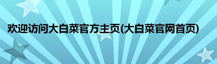 欢迎访问大白菜官方主页(大白菜官网首页)