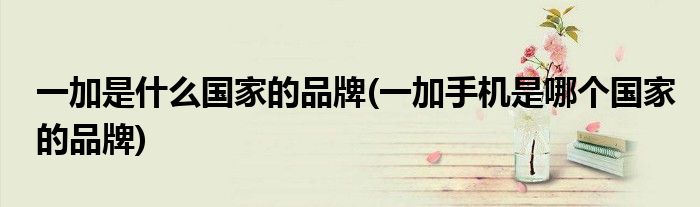 一加是什么的品牌(一加手机是哪个的品牌)