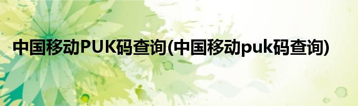 中国移动PUK码查询(中国移动puk码查询)