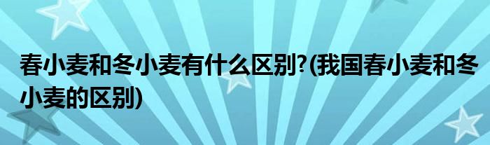 春小麦和冬小麦有什么区别?(我国春小麦和冬小麦的区别)