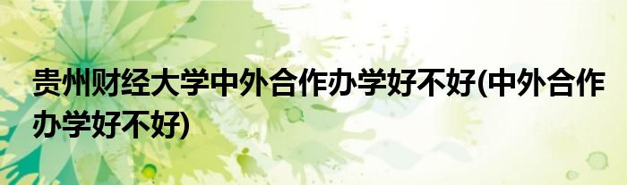 贵州财经大学中外合作办学好不好(中外合作办学好不好)