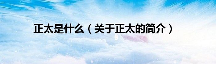 正太是什么（关于正太的简介）