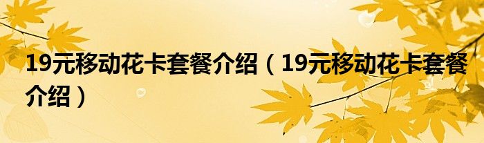 19元移动花卡套餐介绍（19元移动花卡套餐介绍）