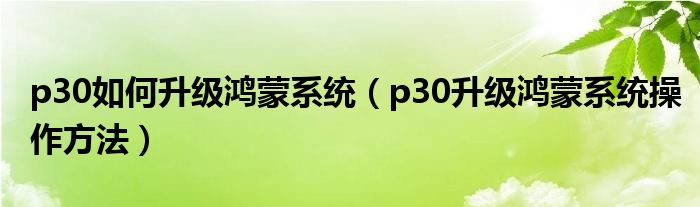 p30如何升级鸿蒙系统（p30升级鸿蒙系统操作方法）