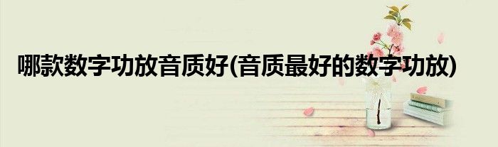 哪款数字功放音质好(音质更好的数字功放)