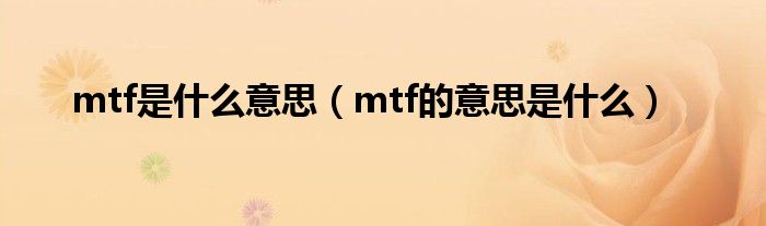 mtf是什么意思（mtf的意思是什么）