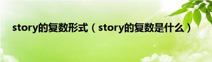 story的复数形式（story的复数是什么）