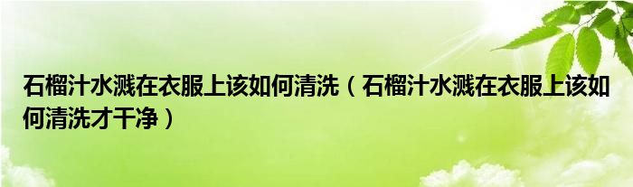石榴汁水溅在衣服上该如何清洗（石榴汁水溅在衣服上该如何清洗才干净）