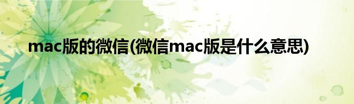 mac版的微信(微信mac版是什么意思)