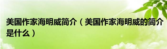 美国作家海明威简介（美国作家海明威的简介是什么）