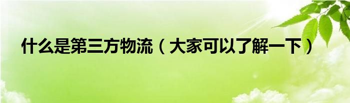 什么是第三方物流（大家可以了解一下）