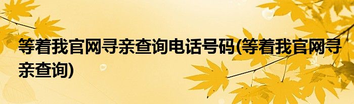 等着我官网寻亲查询电话号码(等着我官网寻亲查询)