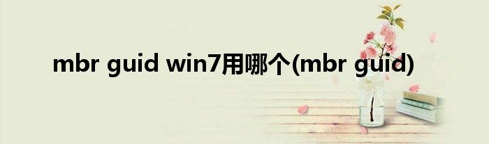 mbr guid win7用哪个(mbr guid)