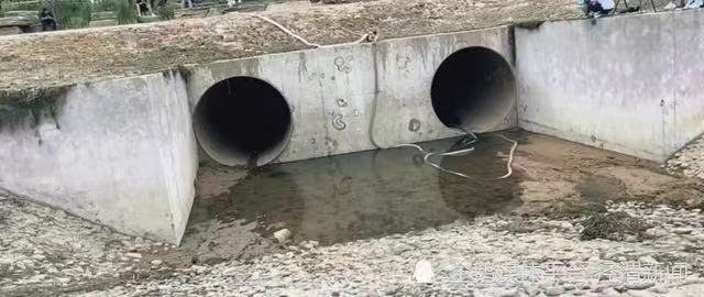 专家谈汝州抽干湖水抓怪鱼：影响湖泊生态，建议划定区域捕捞