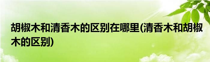 胡椒木和清香木的区别在哪里(清香木和胡椒木的区别)