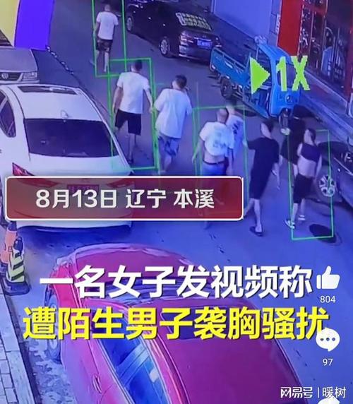 女子当街被陌生男子袭胸骚扰