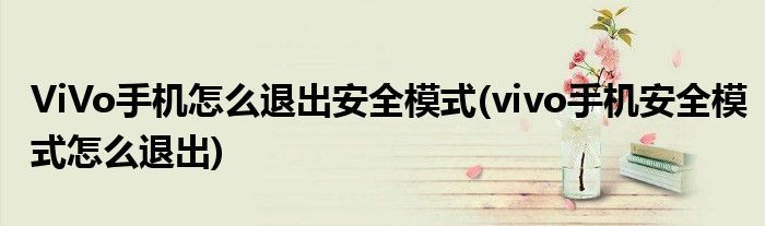 ViVo手机怎么退出安全模式(vivo手机安全模式怎么退出)