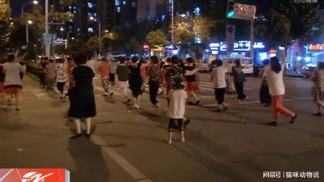 大妈道路中央跳舞，车主狂按喇叭仍不躲避，一脚油门悲剧了