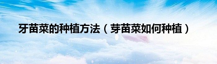牙苗菜的种植方法（芽苗菜如何种植）