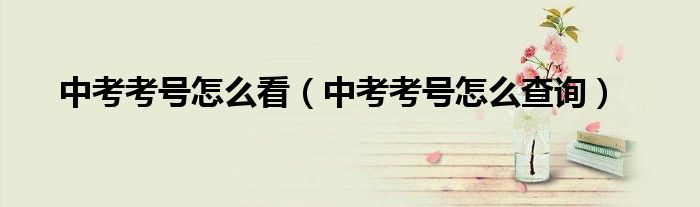 中考考号怎么看（中考考号怎么查询）