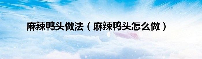 麻辣鸭头做法（麻辣鸭头怎么做）