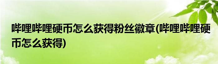 哔哩哔哩硬币怎么获得粉丝徽章(哔哩哔哩硬币怎么获得)
