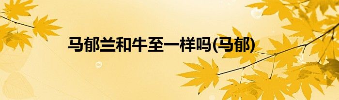 马郁兰和牛至一样吗(马郁)