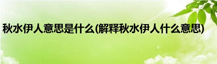 秋水伊人意思是什么(解释秋水伊人什么意思)