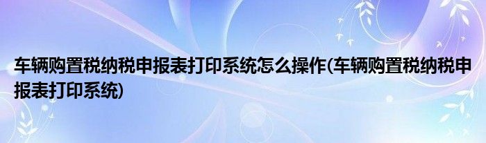 车辆购置税纳税申报表打印系统怎么操作(车辆购置税纳税申报表打印系统)