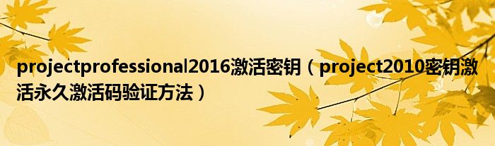projectprofessional2016激活密钥（project2010密钥激活激活码验证方法）