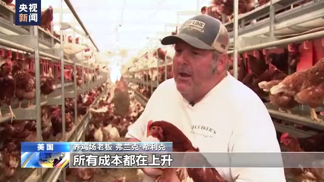 禽流感叠加通胀 美国养鸡场运营遇困