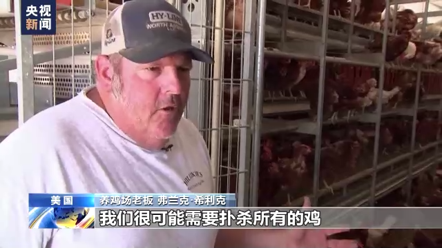禽流感叠加通胀 美国养鸡场运营遇困